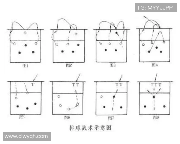 杭州排球队中路突破战术解析与未来发展展望