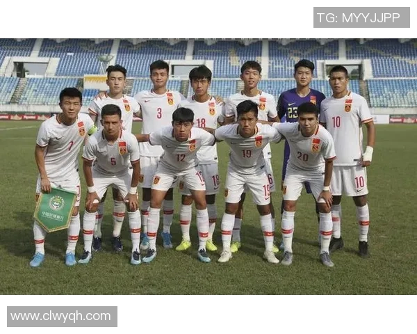 西安排球队战术深度对比与独特解析分析