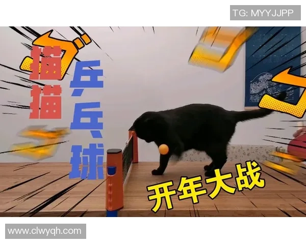 从零开始：乒乓球状态完全攻略