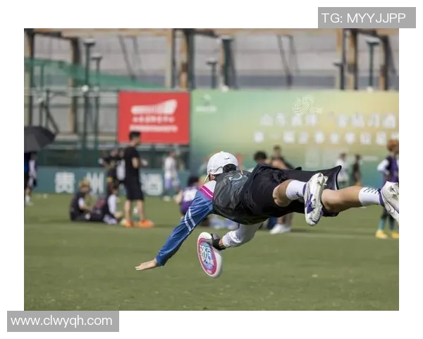 专访周磊：解密飞盘成功之道