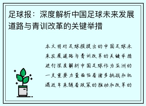 足球报：深度解析中国足球未来发展道路与青训改革的关键举措