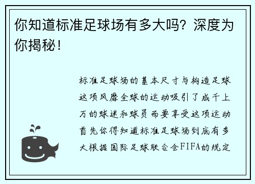 你知道标准足球场有多大吗？深度为你揭秘！