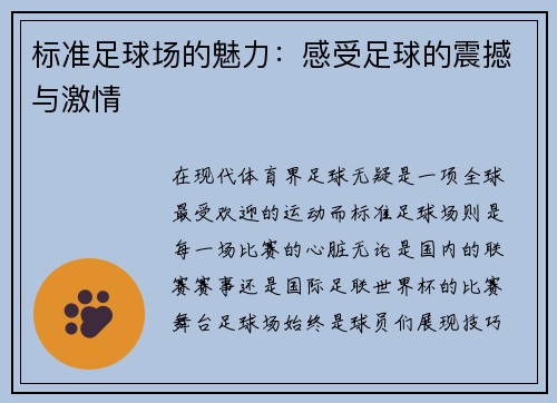 标准足球场的魅力：感受足球的震撼与激情