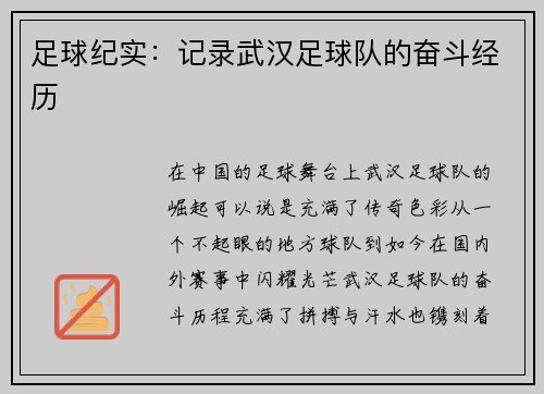 足球纪实：记录武汉足球队的奋斗经历