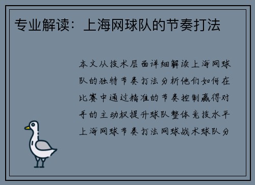 专业解读：上海网球队的节奏打法